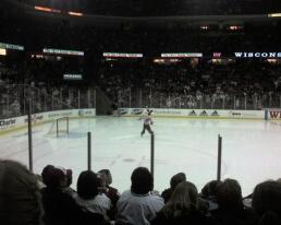 Bucky Badger at Kohl Center
